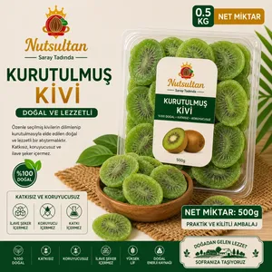 Kivi – Normal Kurutulmuş – 500 g/paket