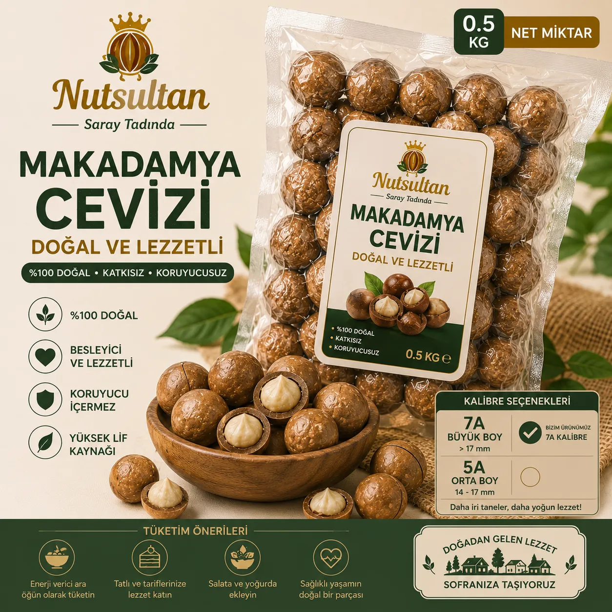 Makadamya Fındığı